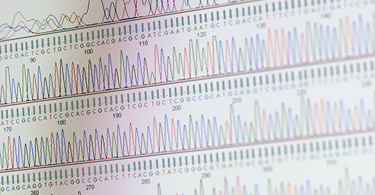 gene-expression