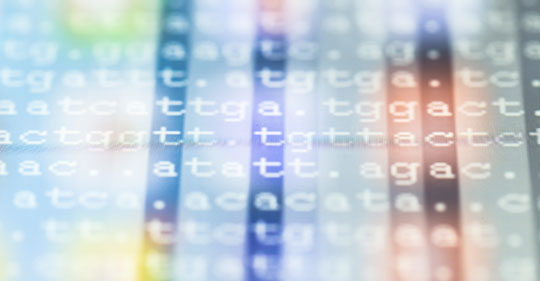 genotyping